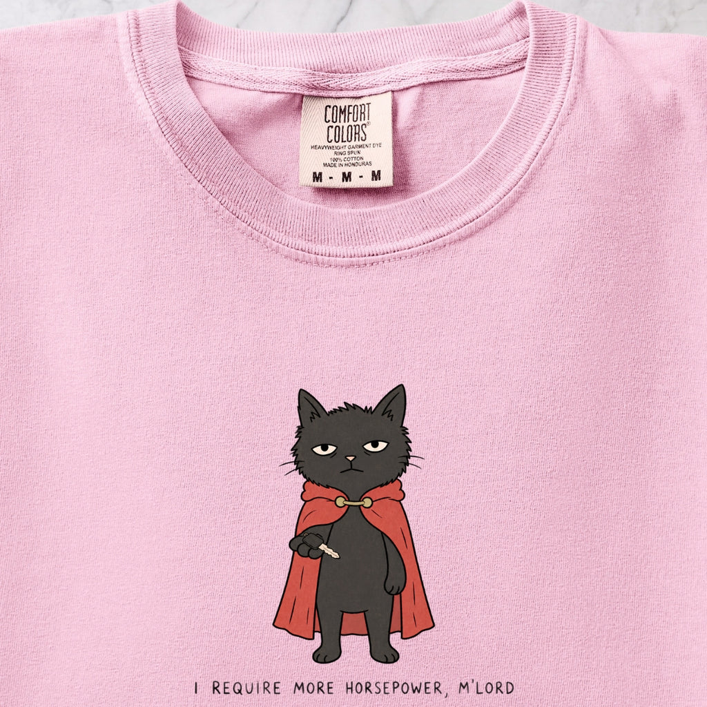 I Require T-shirt