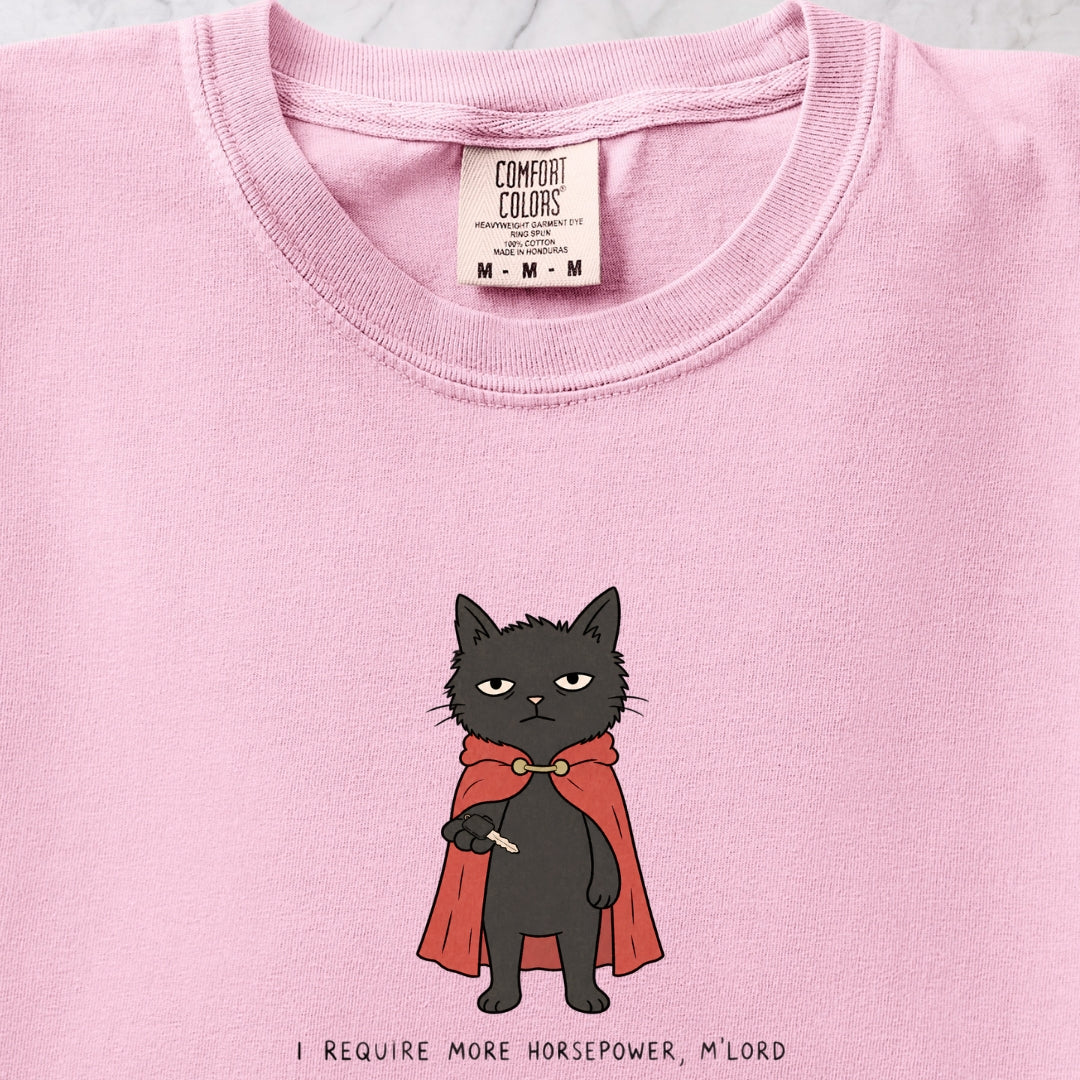 I Require T-shirt
