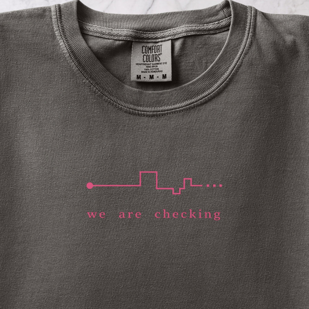We Are Checking Two T-shirt